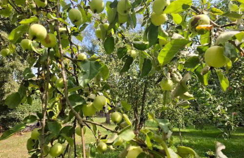 Agroturystyka Przy Rajskim Sadzie - Foto 32