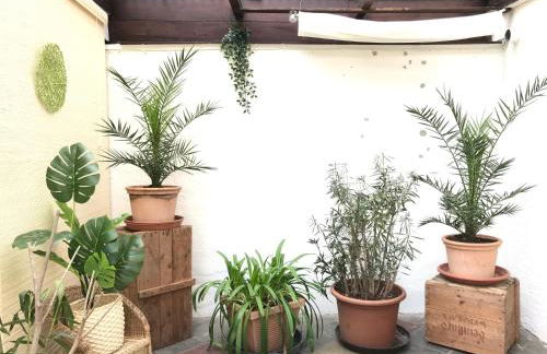 Eifel-House - FeWo - Foto 29