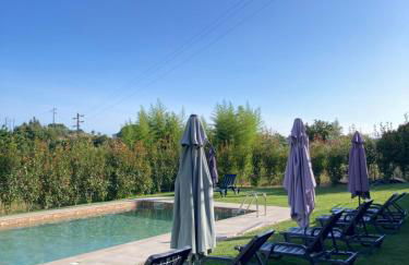 Quintinha Silvestre - Foto 16