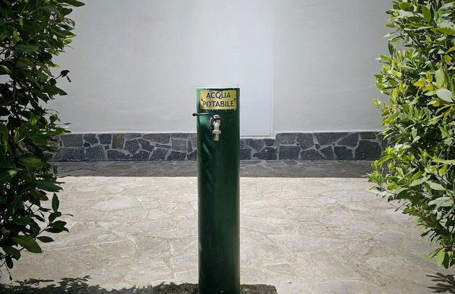 Agriturismo Il Migliarino - Foto 24