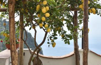 Amalfi Sky View - Photo 36