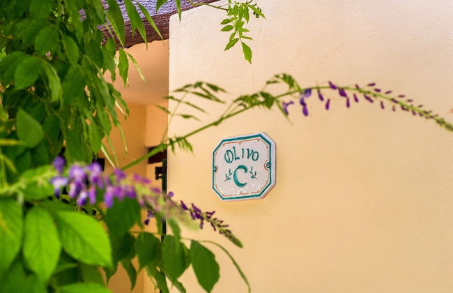 Agriturismo La Fonte - Photo 26