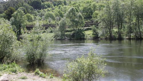 Quinta Das Escomoeiras - Foto 5