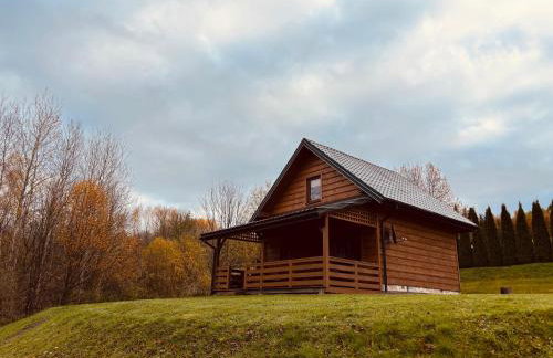 Bieszczady Żubrowe Wzgórze 785-049-543 - Foto 41