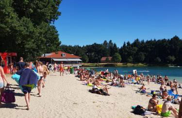 Exclusive Dachgeschosswohnung in Haren/Emmeln - Foto 10