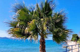 Villa Puntina, Bibinje - Foto 64