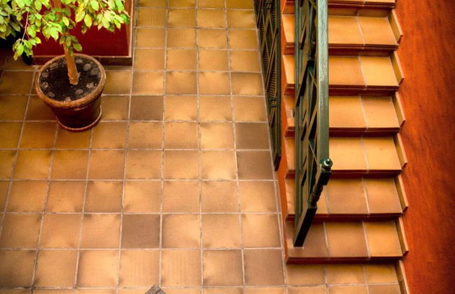 Finca La Florida - Foto 14