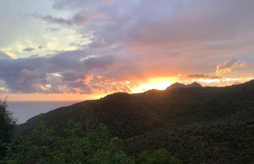 Les Asphodèles - Foto 66
