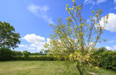 APPLEDOWN - Secluded Rural Retreat in Kingsdown, 10 mins to BEACH - Foto 1