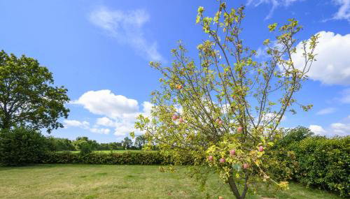 APPLEDOWN - Secluded Rural Retreat in Kingsdown, 10 mins to BEACH - Foto 1
