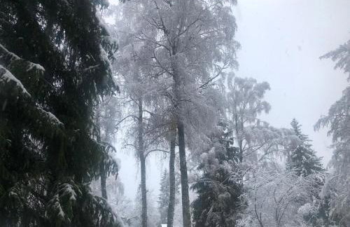 Fun Franz for 6 Persons - Foto 41