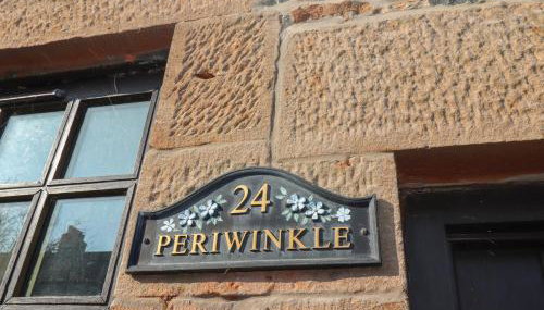 Periwinkle - Photo 3