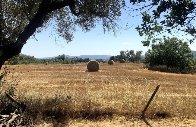 Charming 5-bed Villa in Pitigliano Tuscany - Foto 16