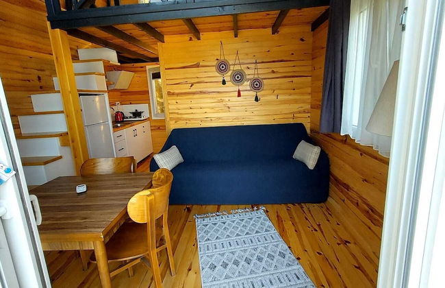 Sole Foca ( Ages 12+ ) - Foto 26