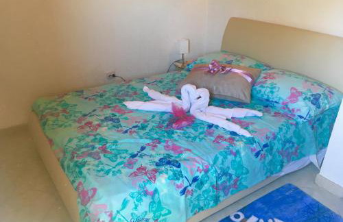 4 Roses Apartment - Photo 21