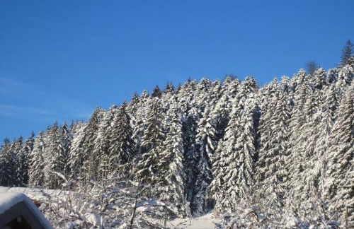 Gîte du Champ du Bois : Confort au cœur des Vosges - FR-1-589-820 - Foto 17