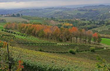 Casa Safranum con mini piscina privata e giardino vista Langhe - Foto 27
