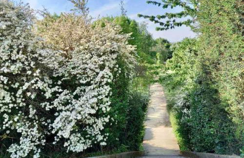 Le Domaine Réservé , parking et écrin de verdure - Foto 20