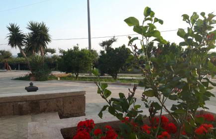 Agriturismo Tenuta de Castro - Foto 24