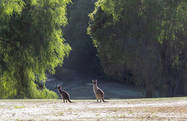 Marima Cottages - Photo 25