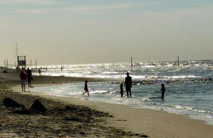 Hund im Glück - Foto 17