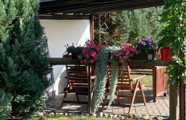 Ferienhaus an der Selke - Foto 17