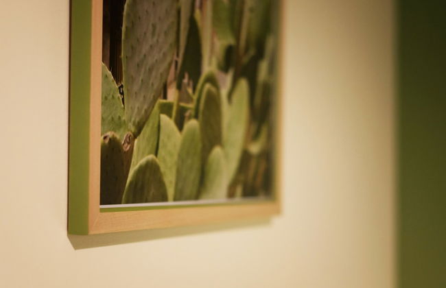 6thLand - Rent Rooms La Spezia - Photo 60