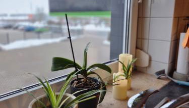 Steffis Apartment - Foto 5