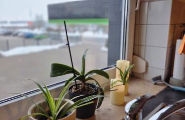 Steffis Apartment - Foto 5