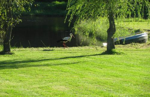 Orlik Mazury - Foto 32