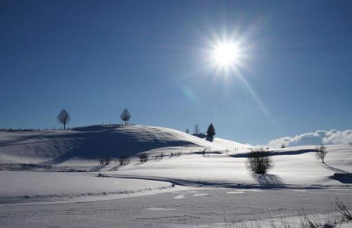 Ferienwohnung Pickenhan - Foto 44