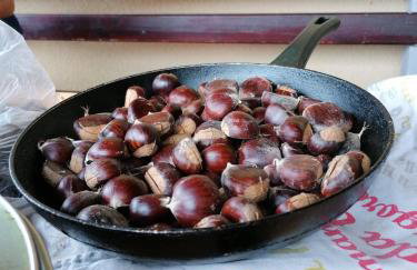 Rural house above the forest - Foto 20