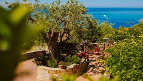 Residenza Golfo Degli Ulivi - Photo 3