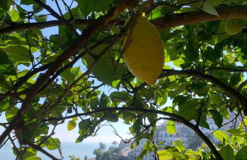 Villa San Vito Amalfi Coast A timeless charm - Foto 56