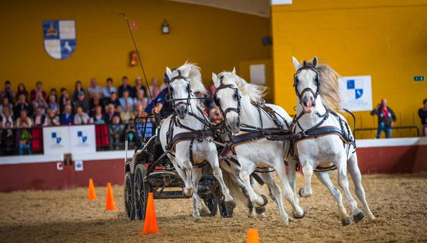 Yeguada de la Cartuja Stud Farm Tour - Foto 3