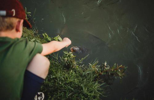 Domek nad Rozlewiskiem - Foto 9