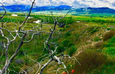 Pine Creek Cabin Livingston Montana - Foto 17