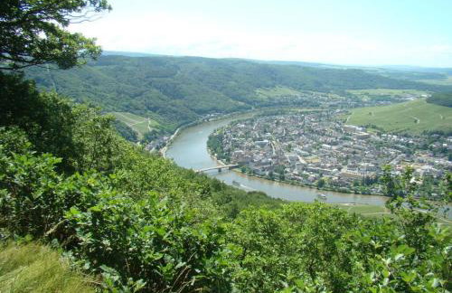 "moseltor" Comfortable Holiday Residence - Foto 65