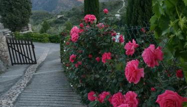 Bancal de Los Pérez - Foto 5, Lobby or reception