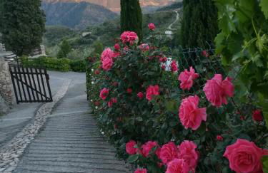 Bancal de Los Pérez - Foto 5