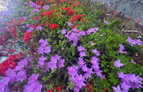 24-Acre Cottage with Hot Tub Near Blowing Rock - Photo 27