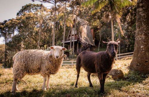 Cabana Recanto da Araucária - Foto 11