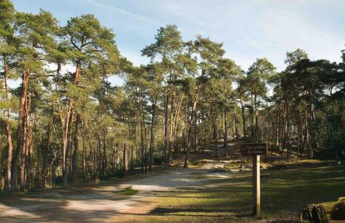 Villa Albertine, 4 chambres en plein cœur de Barbizon proche lisière de Forêt - Foto 51