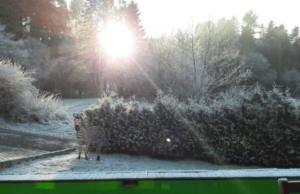 Haus Tsavo - Foto 13