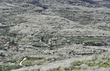 Rincón del Valle del Jerte - Foto 22