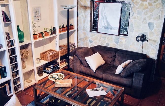 João Jungle - Foto 35