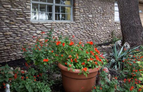 Lovely Cottage Rental with Waterfall on San Gabriel River near Austin, Texas - Foto 24