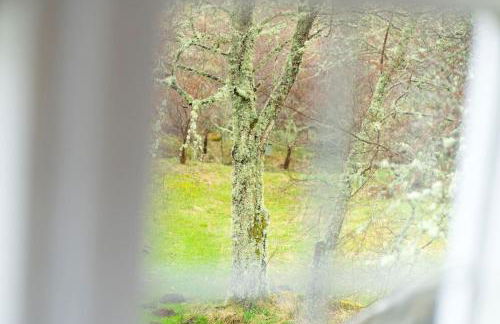 Westerpark Cottage, Pet & Family Friendly Countryside Retreat, Aberdeenshire - Photo 104