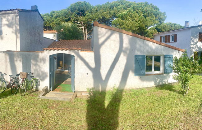 Les Trémières - Foto 24