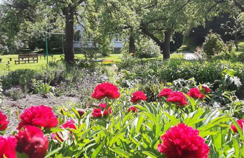 Die Malche Gäste und Tagungshaus 16 - Photo 19